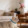 Adjustable Interactive Feather Cat Toy Collar view 3