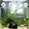 RQcMid Aquarium Decor Cave view 3