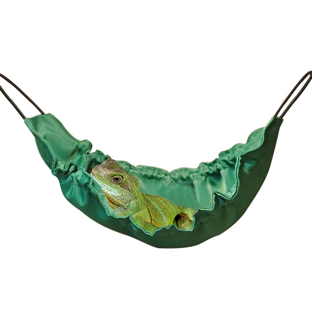 Bearded Dragon Hammock