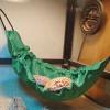 Bearded Dragon Hammock view 2