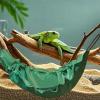 Bearded Dragon Hammock view 3