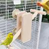 Wooden Parrot Swing | Interactive Balance Bar view 3