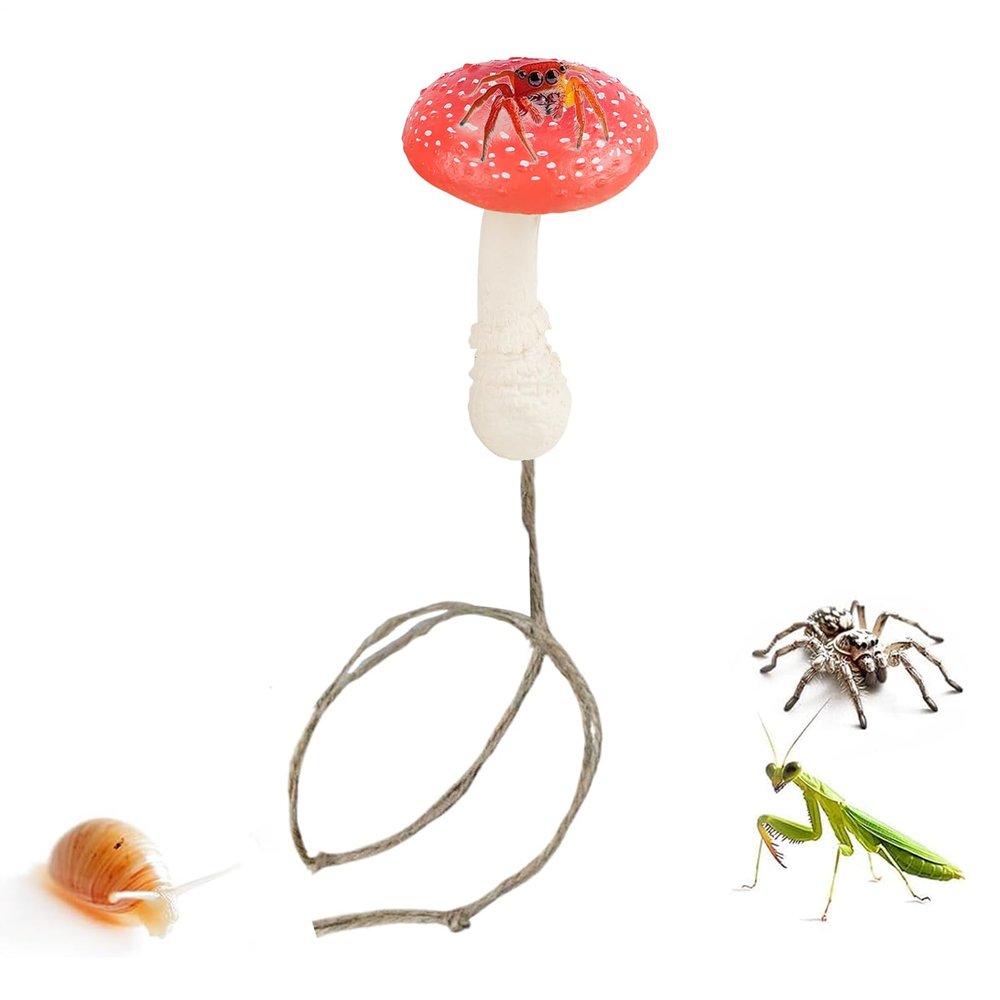 Mushroom Design Springspider Accessory