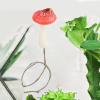 Mushroom Design Springspider Accessory view 3
