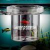 Fish Breeder Box - Transparent Isolation Tank view 3