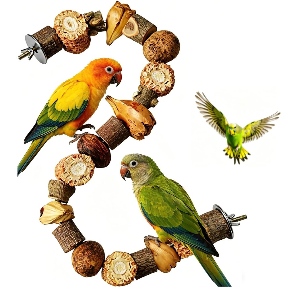 Budgie Accessories, Climbing Perches for Birds