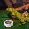 Generic Reptile Feeding Bowl, Anti-escape Food Cup for Terrariums view 3