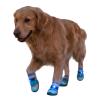 Outdoor LED Shoes for Dogs and Cats, Breathable, Non-Slip view 1