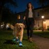Outdoor LED Shoes for Dogs and Cats, Breathable, Non-Slip view 2