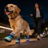 Outdoor LED Shoes for Dogs and Cats, Breathable, Non-Slip view 3