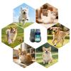 Outdoor LED Shoes for Dogs and Cats, Breathable, Non-Slip view 4