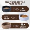 Reptile Water Bowl - Anti-Spill Feeding Cup for Terrariums view 4