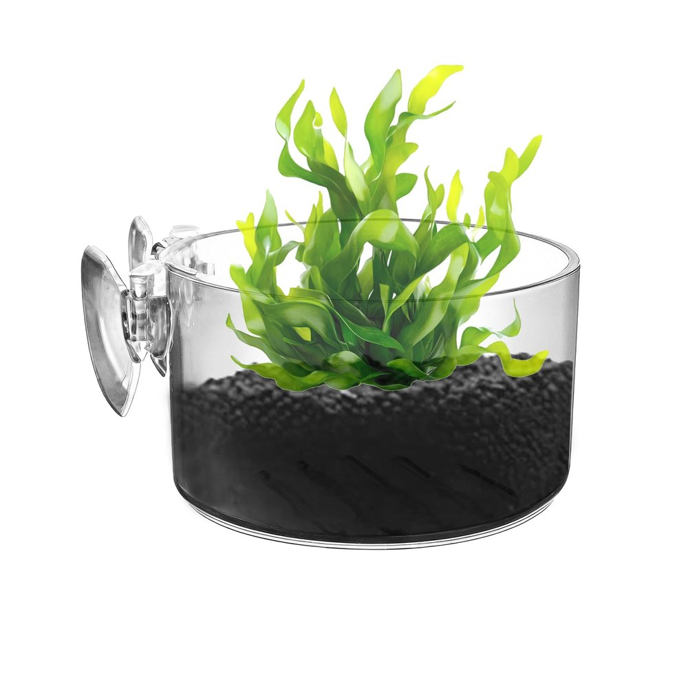 Generic Aquarium Plant Holder - Clear Acrylic Pot with Suction Cup