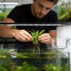 Generic Aquarium Plant Holder - Clear Acrylic Pot with Suction Cup view 2