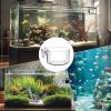 Generic Aquarium Plant Holder - Clear Acrylic Pot with Suction Cup view 4