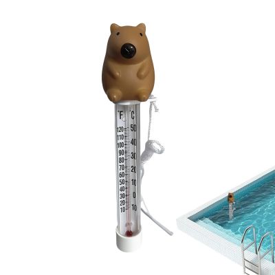Pool Thermometer with Easy-to-Read Water Temperature Display
