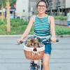 Cat Bicycle Basket | Wicker Bicycle Basket, Handwoven Storage Basket view 3