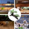 Toyvian Artificial Reptile Plant for Terrariums view 4