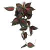 SENECESLI Hanging Plant, Artificial Vine for Pet Enclosure view 1
