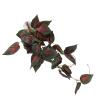 SENECESLI Hanging Plant, Artificial Vine for Pet Enclosure view 4