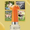 Dog Shampoo Foam Dispenser, Mushroom Design, for Small and Medium Dogs view 4