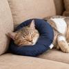 Inflatable Pet Collar, 21 cm, Polyester, for Cats and Dogs During Recovery view 2