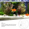 Lurrose DIY Incubator Set for Shrimp and Artemia view 3