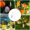 Lurrose DIY Incubator Set for Shrimp and Artemia view 4