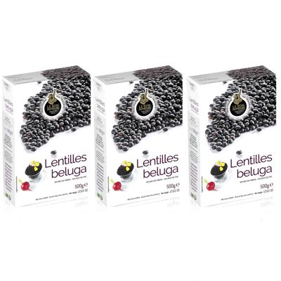 Le Bon Semeur Beluga Lentils from France, 3 x 500 g, incl. FeinWert e-book