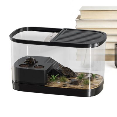 Reptile Terrarium Habitat for Bearded Dragons