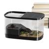 Reptile Terrarium Habitat for Bearded Dragons view 1