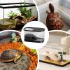 Reptile Terrarium Habitat for Bearded Dragons view 4