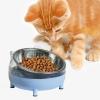 Zanthicia Elevated Pet Food and Water Dispenser view 4
