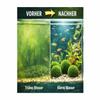 Marimo Moss Balls for Aquariums - 5 Pack (3-4 cm) view 3