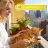 Cat Food Squeezer | 3D-Printed Pet Treat Dispenser view 2