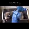 Stainless Steel Pet Grooming Bathtub with Faucet (120 cm/ view 4