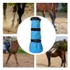 Hoof Care Bag with EVA Pad view 2
