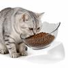 Elevated Cat Bowl with 15° Incline and Neck Guard view 1