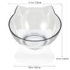 Elevated Cat Bowl with 15° Incline and Neck Guard view 2