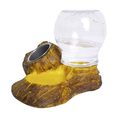 Reptile Water and Feeding Dish - Natural-Texture Climbing Dish for Tortoises