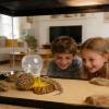Reptile Water and Feeding Dish - Natural-Texture Climbing Dish for Tortoises view 2