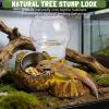 Reptile Water and Feeding Dish - Natural-Texture Climbing Dish for Tortoises view 4