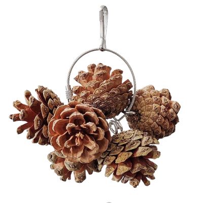 Pine Cone Bird Toy for Parakeets