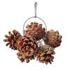 Pine Cone Bird Toy for Parakeets view 1