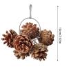 Pine Cone Bird Toy for Parakeets view 2