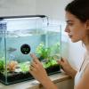 Digital Aquarium Thermometer view 2