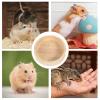 Cabilock Small Animal Food Bowl view 3