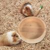 Cabilock Small Animal Food Bowl view 4