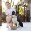 Foldable Canvas Travel Bowl for Dogs and Cats, Portable view 4