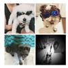 TEHAUX Colorful Funny Dog Sunglasses with Adjustable Nylon Band view 2